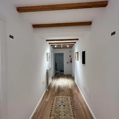 Chestnut Hill Bajram Curri