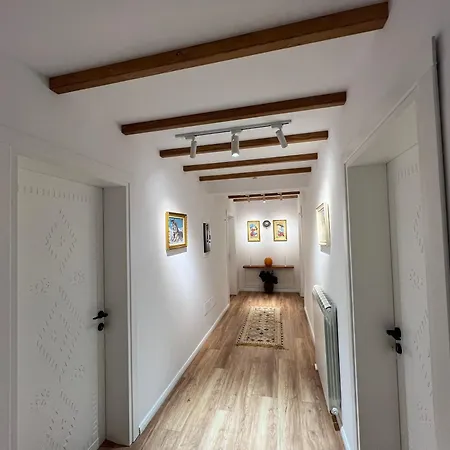 Chestnut Hill 3* Bajram Curri