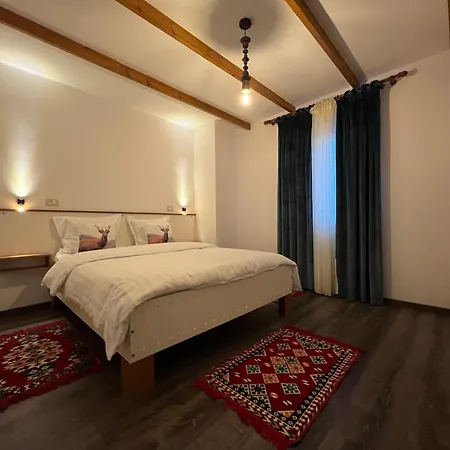 Chestnut Hill Bajram Curri