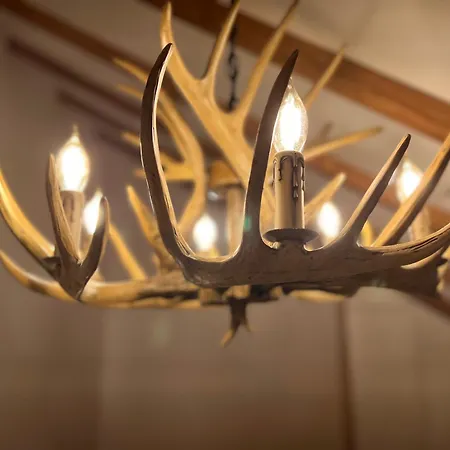 Szálloda Chestnut Hill Bajram Curri