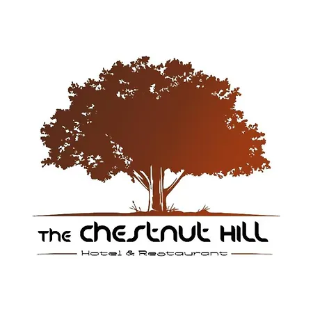 Chestnut Hill 3*