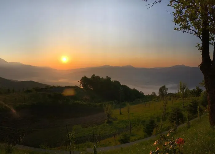 Chestnut Hill Bajram Curri