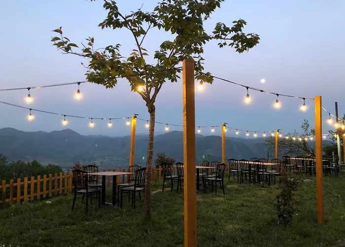 Hotel Chestnut Hill 3*