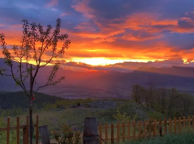 Chestnut Hill Bajram Curri