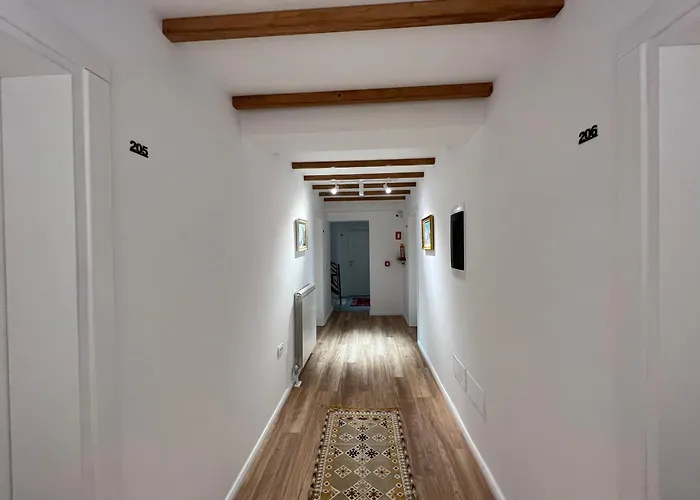 Chestnut Hill Bajram Curri