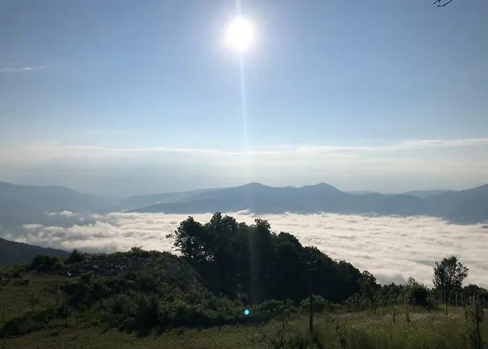 Chestnut Hill Hotel 3*