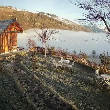 Hotel Chestnut Hill 3*