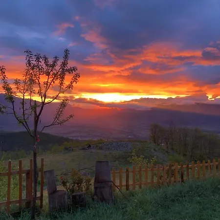 Chestnut Hill Bajram Curri